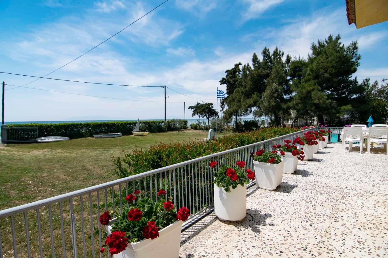 Clio Beach House By Travel Pro Services - Metochi Halkidiki Sozopoli Esterno foto