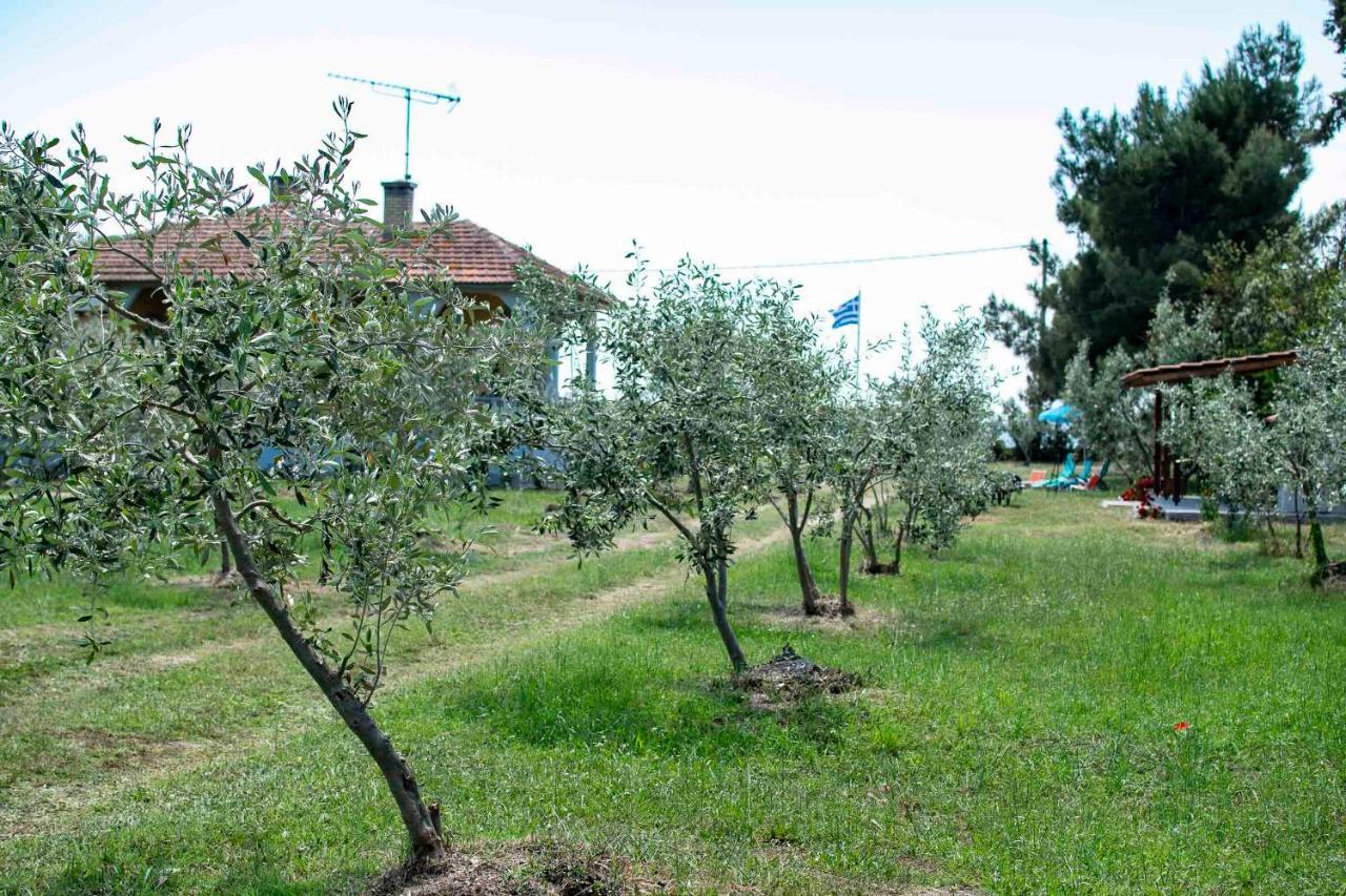 Clio Beach House By Travel Pro Services - Metochi Halkidiki Sozopoli Esterno foto